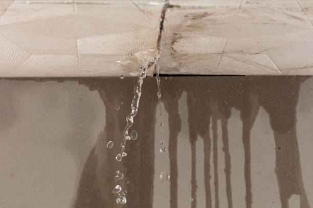 Professional Water Damage Repair technician working in Wilmer, TX